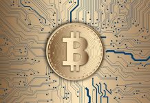 By The Numbers: How Have Inscriptions Affected Bitcoin Blocksize?