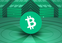 Bitcoin Cash wallets: A beginners guide to storing BCH