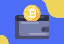 How to Choose a Bitcoin Wallet?