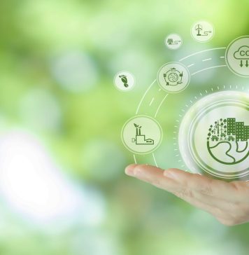 The Business of Sustainability: Creating a Greener Future