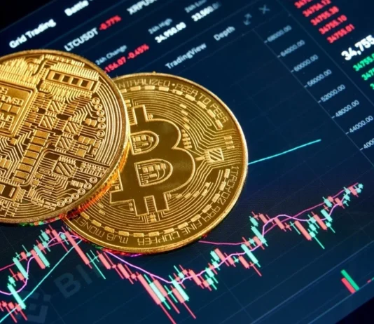 How to Choose a Cryptocurrency Exchange?