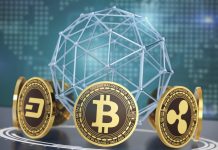The Most Popular Cryptocurrency Terms