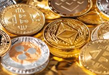 What Is Cryptonex Coin and Trading Platform