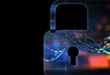 How to prevent a data breach at your business