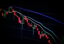 The Importance of Risk Management in Stock Investing
