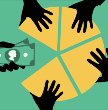 What are Stocks or Shares?