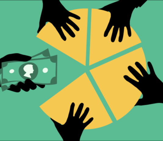 What are Stocks or Shares?