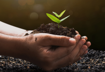 Startup Ideas for Sustainable Businesses: Building an Eco-Friendly Future