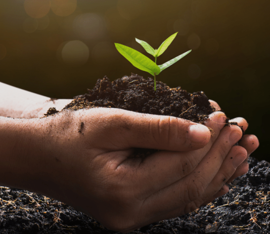 Startup Ideas for Sustainable Businesses: Building an Eco-Friendly Future