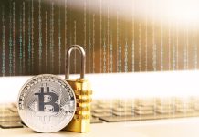 Should I Use VPN for Cryptocurrency Transactions?